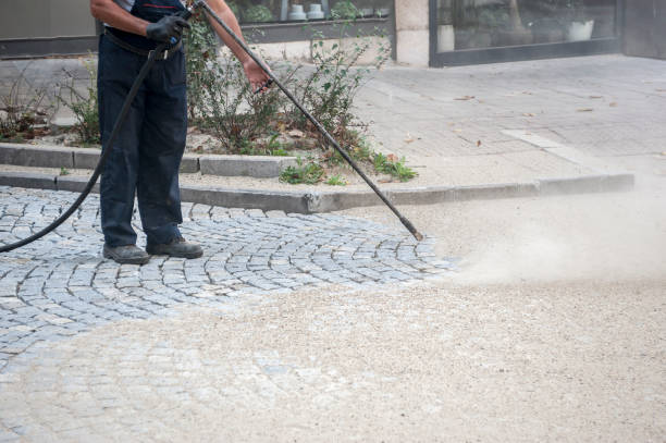 Best House Exterior Washing  in La Crosse, WI