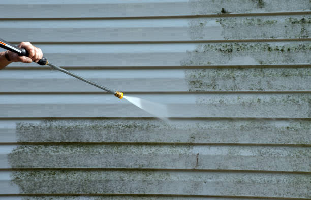 Best Roof Washing  in La Crosse, WI