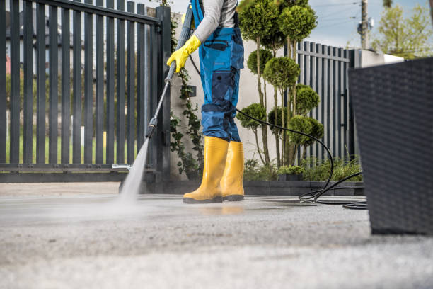 Best Gutter Cleaning  in La Crosse, WI